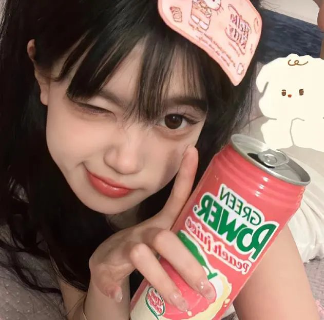 雏菊