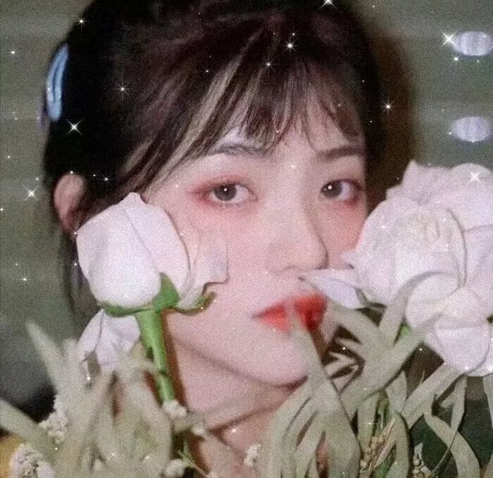 面包与玫瑰